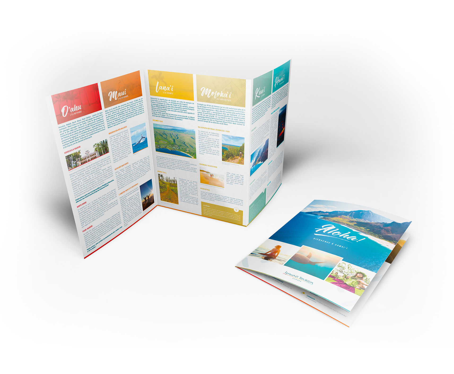 Hawaii Tourism design