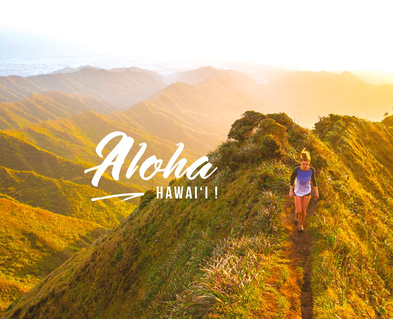Hawaii graphisme